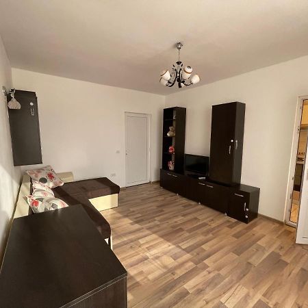 Apartament De Lux 科斯蒂内什蒂 外观 照片