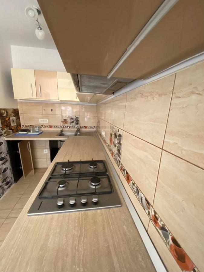 Apartament De Lux 科斯蒂内什蒂 外观 照片