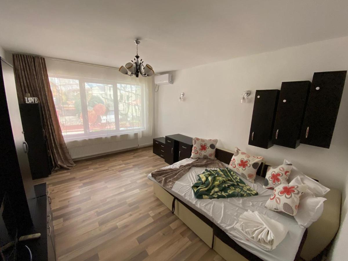 Apartament De Lux 科斯蒂内什蒂 外观 照片